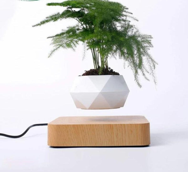 Levitating Pot Bonsai Magnetic Floating Rotating Plant
