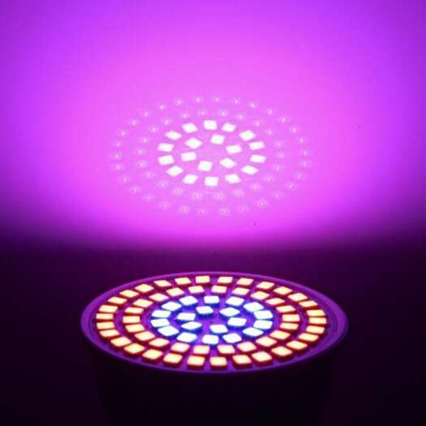 Led Grow Light E27 72Leds Smd 2835 6W For Indoor Plants Growth Lamp Multi Ac220v