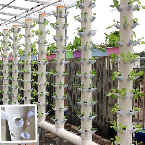 40Pcs Diy Hydroponics Soilless Plant Grow Cups