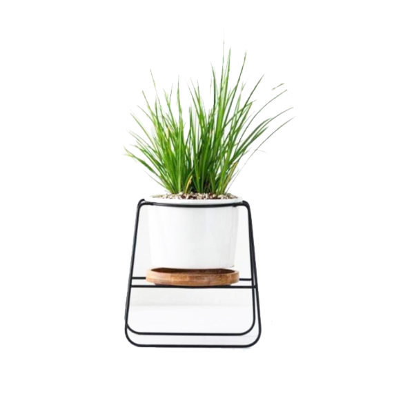 Poise Pot Indoor Little Plant Stand Home Decor