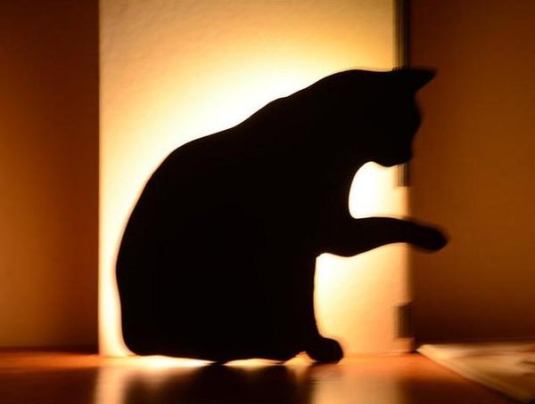 Night Lights Cute Cat Wall Led Motion Sensor Lamp Smart Night Light