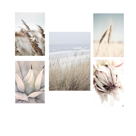 Posters & Prints Roam Canvas Scandinavian Landscape Seagrass Wheat Prints