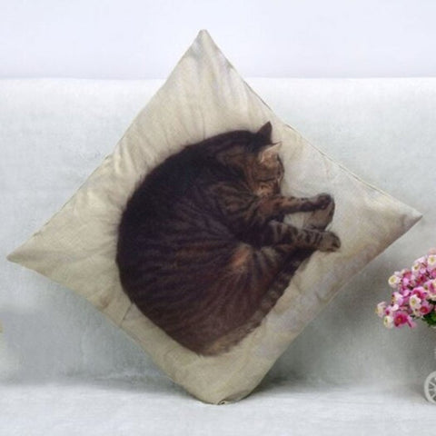 Sleeping Cat Pattern Square Shape Pillow Case Cushion Cover Without Inner