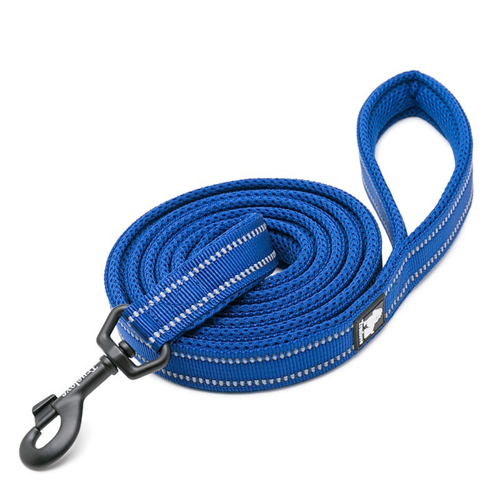 Reflective Pet Leash 2 Meters Royal Blue