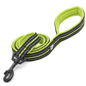 Reflective Pet Leash 2 Meters Yellow