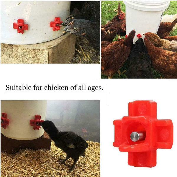 Backyard Poultry Feeders Cheeky Chooka Horizontal Poultry Water Nipple 5Pk