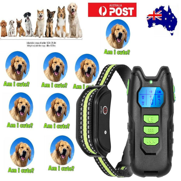 Dog Collars Electric Pet Dog Training Anti Bark Collar Sound Vibrate Auto Rechargeable New