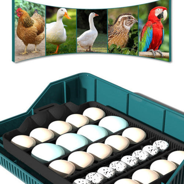 Incubators Digital Led Fully Automatic 25 Egg Incubator Hatch Turning Chicken Eggs Poultry