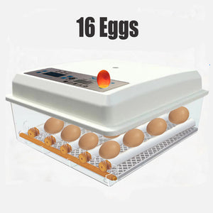 Incubators 16 Egg Incubator Fully Automatic Digital Thermostat Chicken Eggs Poultry