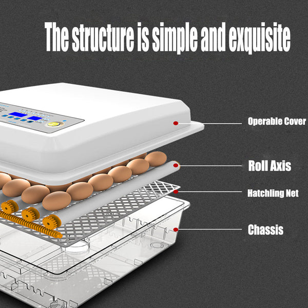 Incubators 64 Egg Incubator Fully Automatic Digital Thermostat Chicken Eggs Poultry