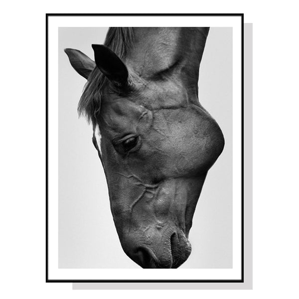 Wall Art 60Cmx90cm Modern Black Horse Frame Canvas