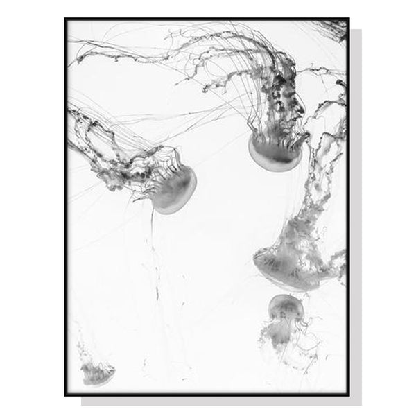 Posters & Prints Wall Art 70Cmx100cm Jellyfish Black Frame Canvas