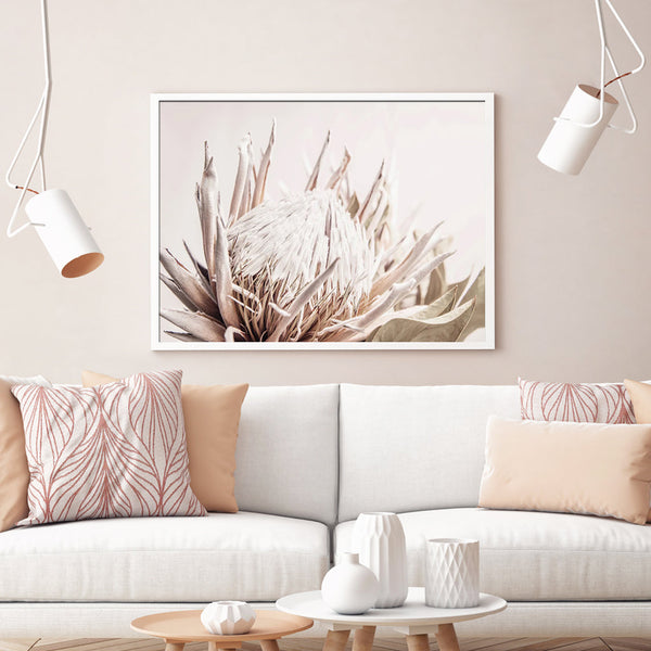 Posters & Prints Wall Art 50Cmx70cm Pure Protea Ii White Frame Canvas