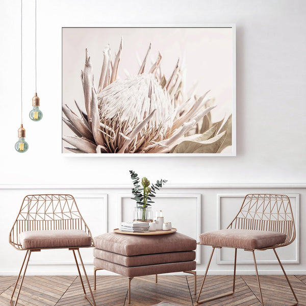 Posters & Prints Wall Art 50Cmx70cm Pure Protea Ii White Frame Canvas