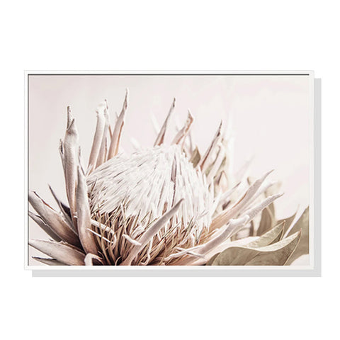 Wall Art 60Cmx90cm Pure Protea Ii White Frame Canvas