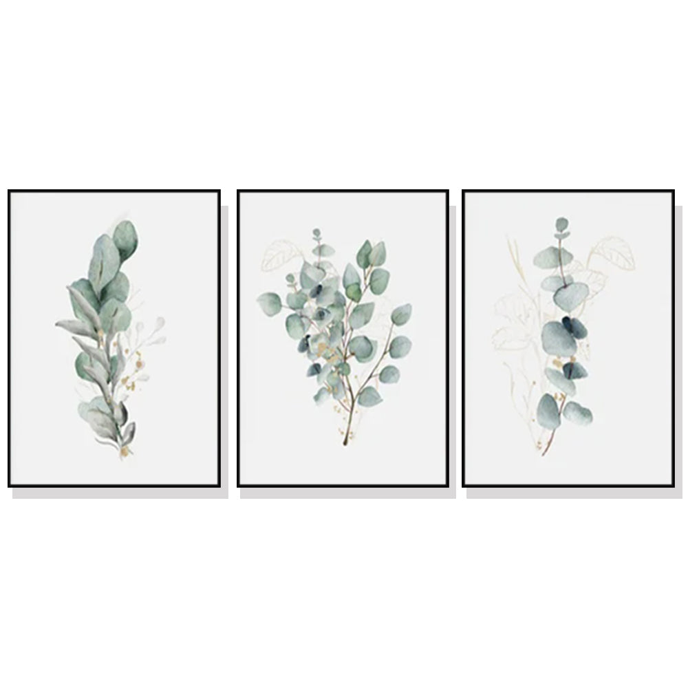 Posters & Prints Wall Art 60Cmx90cm Eucalyptus Plant 3 Sets Black Frame Canvas