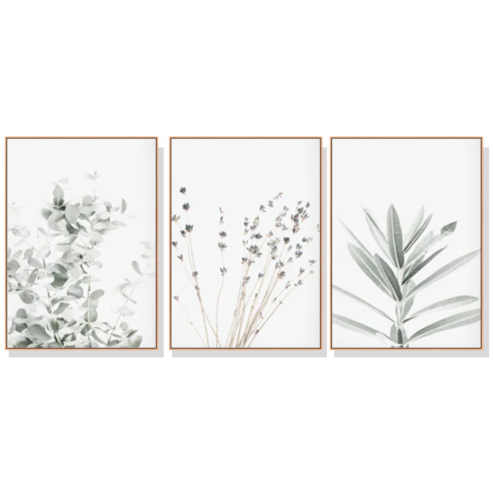 Posters & Prints Wall Art 70Cmx100cm Lavender Eucalyptus 3 Sets Wood Frame Canvas