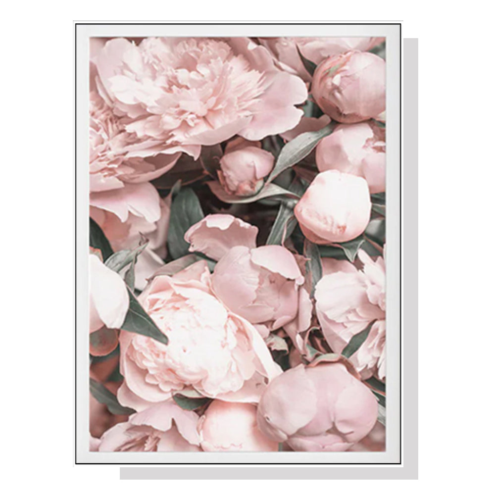 Posters & Prints Wall Art 40Cmx60cm Peony White Frame Canvas