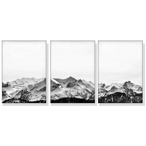 Wall Art 50Cmx70cm Black White Mountain 3 Sets Frame Canvas