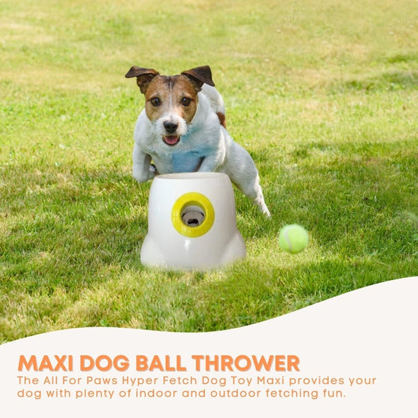 Dog Toys All For Paws Hyper Fetch Maxi Dog Ball Thrower Large Interactive Pet Toy Launcher