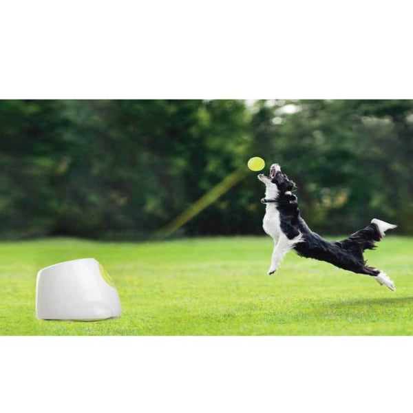 Dog Toys All For Paws Hyper Fetch Maxi Dog Ball Thrower Large Interactive Pet Toy Launcher