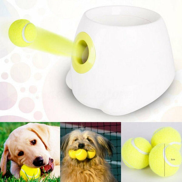 Dog Toys Hyper Fetch Mini Dog Ball Thrower Small Interactive Pet Toy Launcher