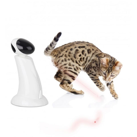 Cat Toys All For Paws Laser Beam Cat Toy Interactive Automatic Robot Pointer Pet Kitty Play Afp