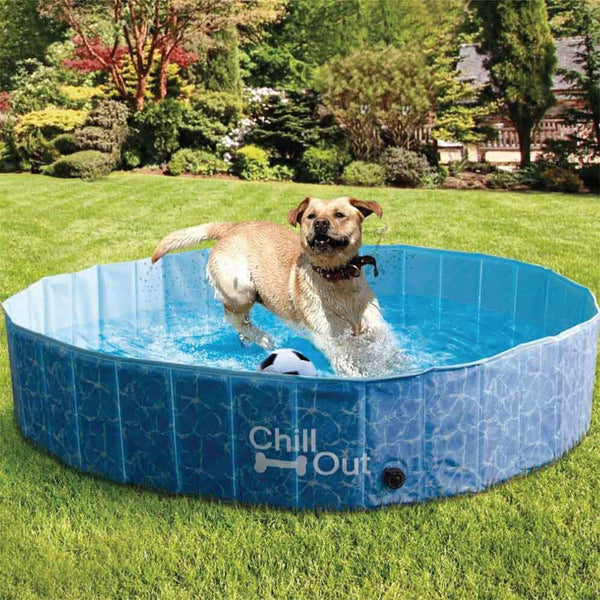 Dog Grooming All For Paws L Dog Swimming Pool Pet Chill Out Plastic Puppy Bath Splash Fun