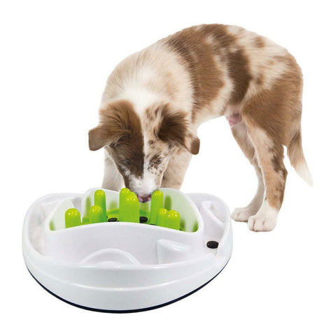 All For Paws Dog Bowl Food Maze - Interactive Treat Feeder + Water Dish Pet