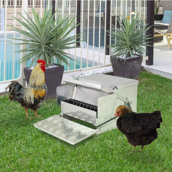 Pet Chicken Supplies 9Kg Automatic Chook Chicken Feeder Poultry Treadle Aluminium Metal Feeders