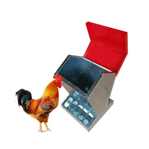 Pet Chicken Supplies 10Kg Automatic Chook Chicken Feeder Poultry Trough Galvanised Metal Feeders