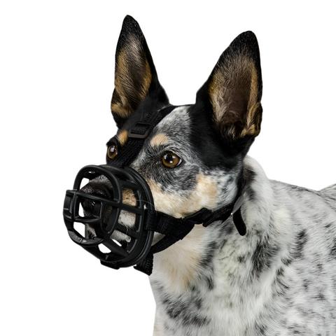 Muzzles Baskerville Ultra Size 6 (10.16Cm X 38.10Cm)