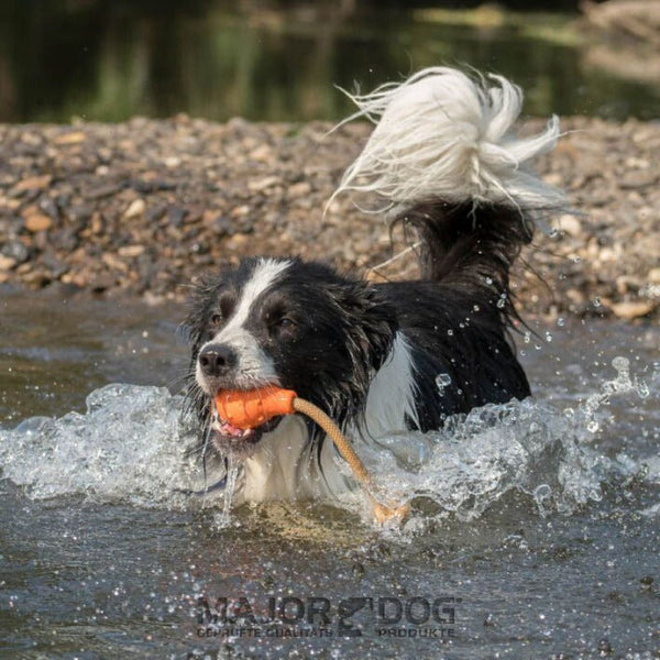 Dog Toys Major Dog Swimming Eddy Floating Fetch Toy With Handle Small