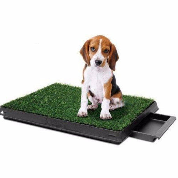 Artificial Grass Yes4pets X Synthetic Grass Replacement Only For Potty Pad Training 59 46 Cm