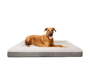 Pet Beds Fur King "Ortho" Orthopedic Dog Bed Xl