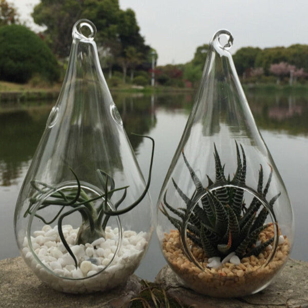 10 Pack Of Hanging Clear Glass Tealight Candle Holder Tear Drop Pear Hour Shape - 20Cm High Terrarium Plant Mini Garden Decoration Craft Gift