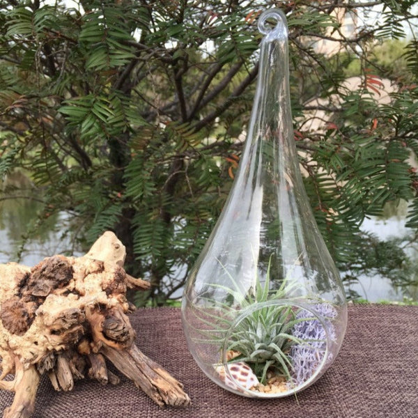 10 Pack Of Hanging Clear Glass Tealight Candle Holder Tear Drop Pear Shape - 12Cm High Terrarium Plant Mini Garden Decor
