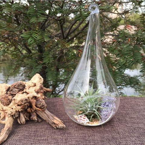 25 Bulk Pack Of Hanging Clear Glass Tealight Candle Holder Tear Drop Pear Shape - 12Cm High Terrarium Plant Mini Garden Decor