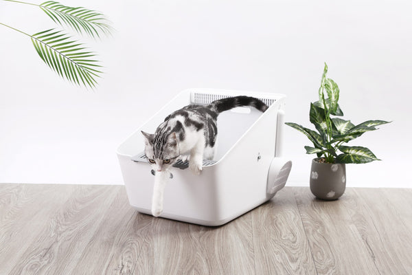 Litter Trays Petkit Pura Cat Litter Box