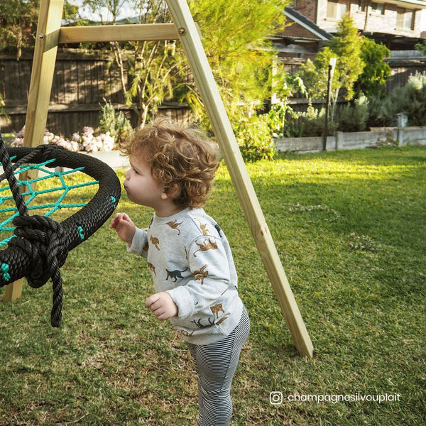 Outdoor Swings Lifespan Kids Oakley Swing Set With 1.2M Spidey Web