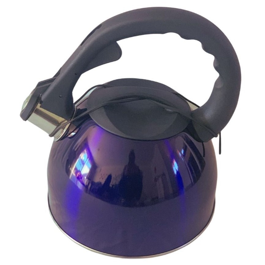 Kettles 2.6L Stainless Steel Whistling Kettle