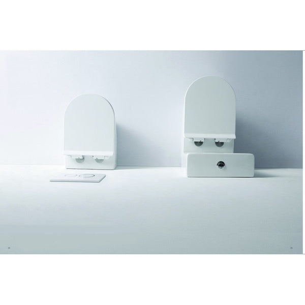 Toilet Seats Flay R Rimless Toilet Suite