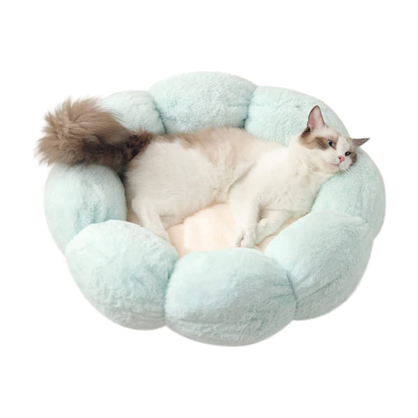 Pet Beds Lifebea Anti Skid Cute Cat Bed For Cats And Small Dogs