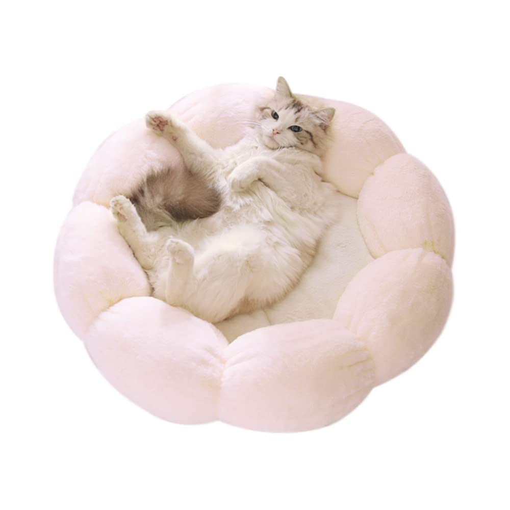 Pet Beds Lifebea Anti Skid Cute Cat Bed For Cats And Small Dogs