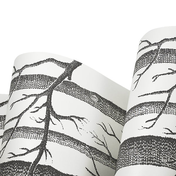 Wallpaper Rolls & Sheets Wallpaper White Birch Tree Non Woven Paper Roll