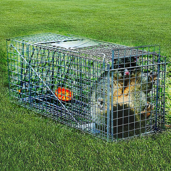 Animal & Rodent Control Trap Humane Possum Cage Live Animal Safe Catch Rabbit Hare Fox Bird