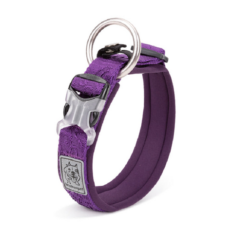 Dog Collars Whinhyepet Collar Purple 2Xs